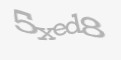 Защитный код